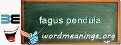WordMeaning blackboard for fagus pendula